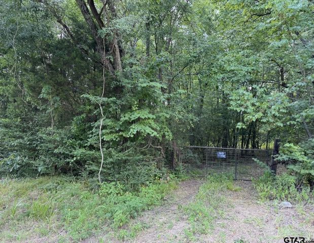 TBD Hwy 155 N, Winona, TX 75792