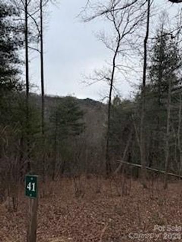 0000 Silverglen Way, Hendersonville, NC 28792