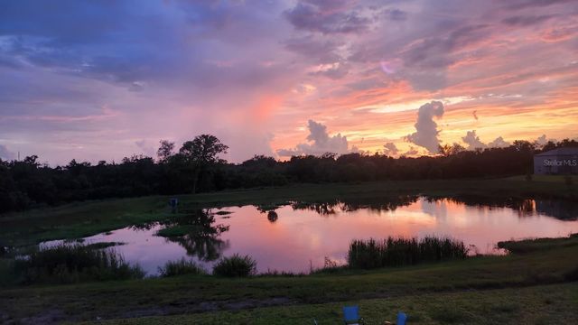 11537 FERN HILL DRIVE, Riverview, FL 33578