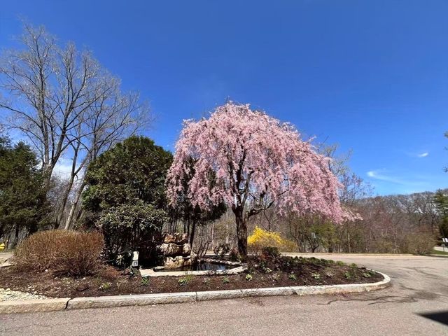 210 Nahanton St 522, Newton, MA 02459