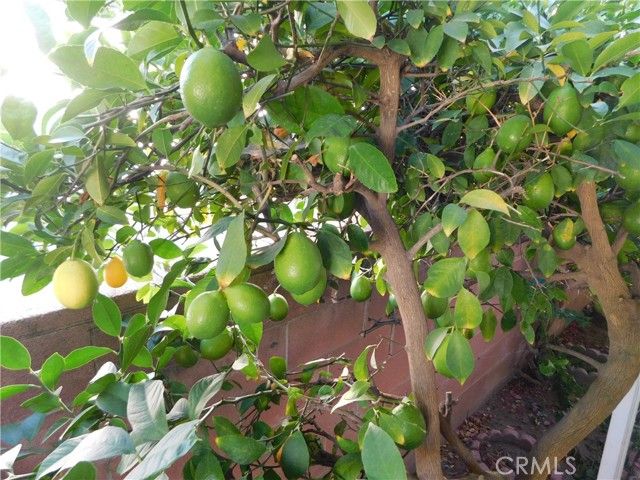 10675 BRYANT Street 112, Yucaipa, CA 92399