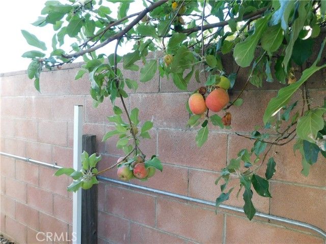 10675 BRYANT Street 112, Yucaipa, CA 92399