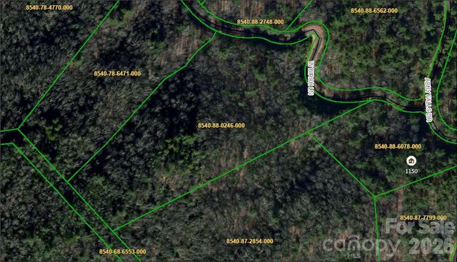 Lot 37 Birch Lane 37, Rosman, NC 28772