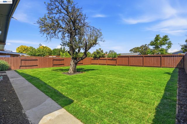 6684 Graham Ave, Newark, CA 94560