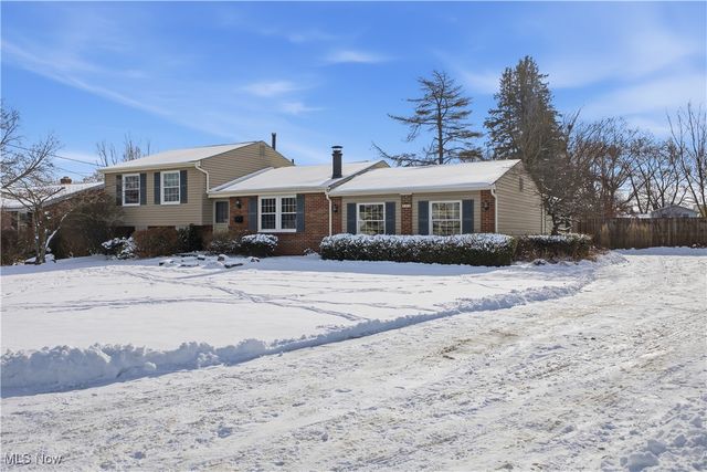 541 Blossom Avenue, Campbell, OH 44405