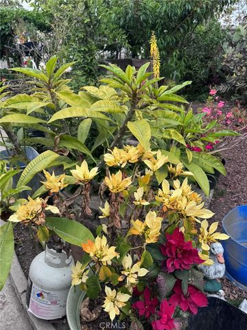 7881 Franklin Street, Buena Park, CA 90621