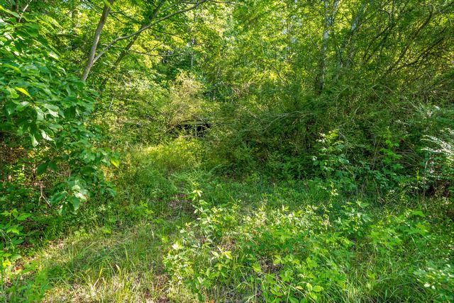 1010 Saddle Tree Rd, Ashland City, TN 37015