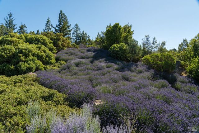 2947 Cavedale Rd, Glen Ellen, CA 95442