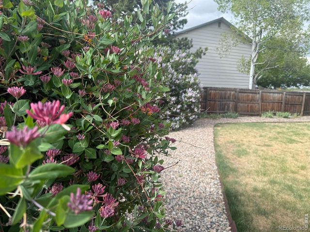 1044 Blue Spruce Drive, Loveland, CO 80538