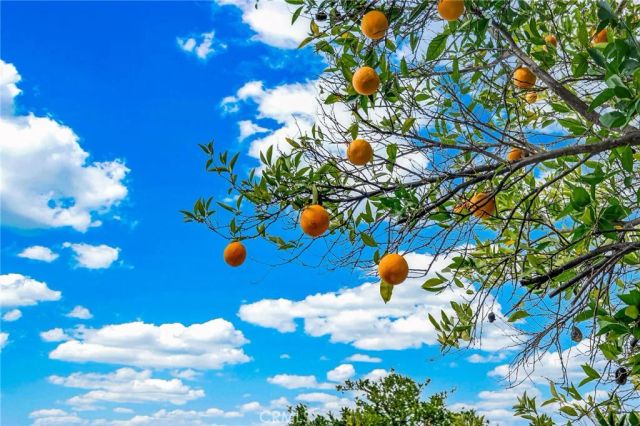 2662 Silver Oak Way, Hemet, CA 92545