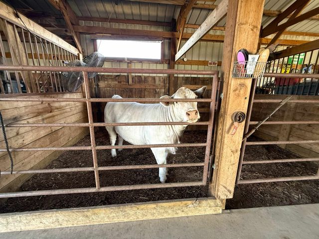 522 N 150th Road, Bennington, KS 67422