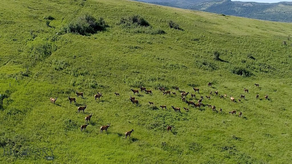 13830 (Tract C) Cottonwood Road, Bozeman, MT 59718 photo 21