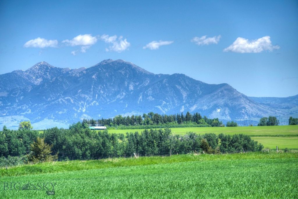 13830 (Tract C) Cottonwood Road, Bozeman, MT 59718 photo 4