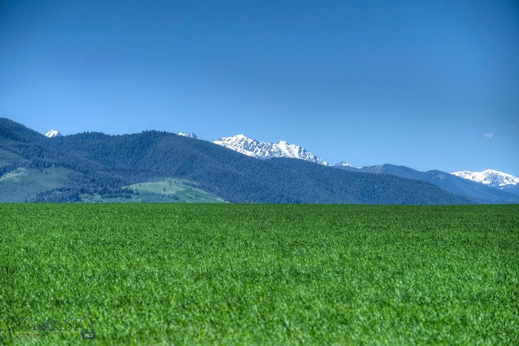 13830 (Tract C) Cottonwood Road, Bozeman, MT 59718 photo 5