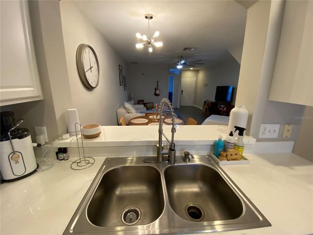 16326 SWAN VIEW CIRCLE, Odessa, FL 33556