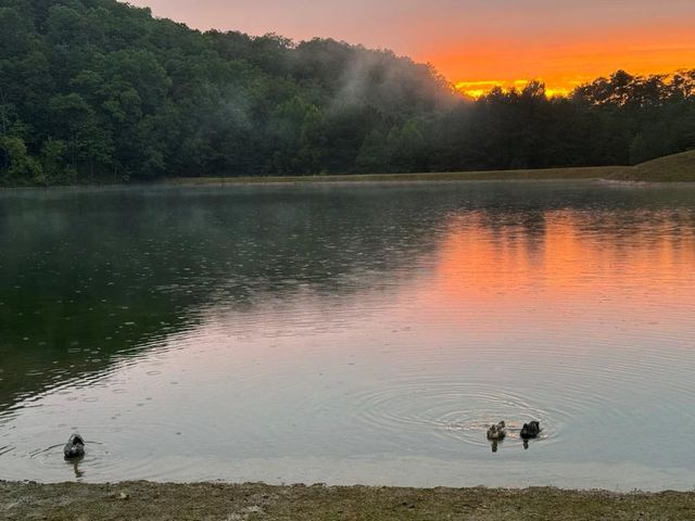 1769 Longbranch Drive, Ranger, GA 30734