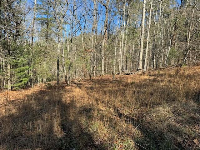 1769 Longbranch Drive, Ranger, GA 30734