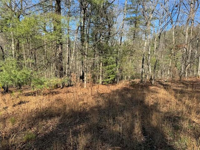 1769 Longbranch Drive, Ranger, GA 30734