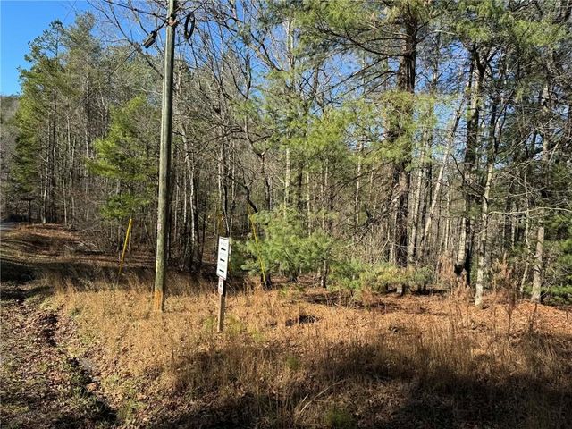 1769 Longbranch Drive, Ranger, GA 30734