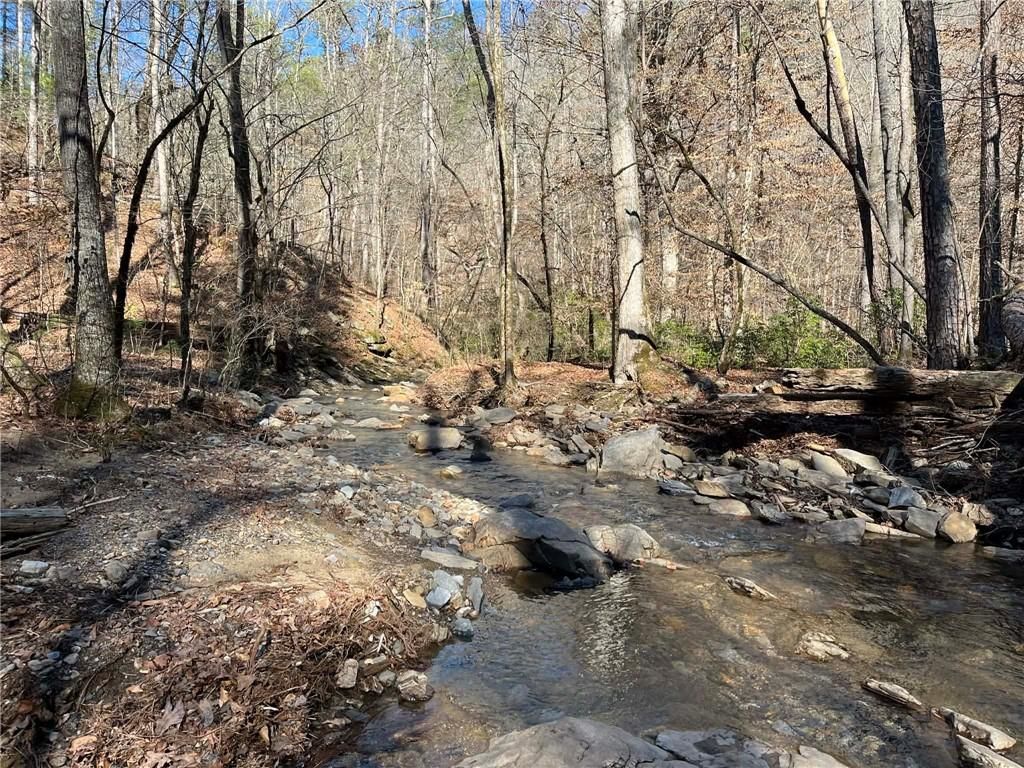 1769 Longbranch Drive, Ranger, GA 30734