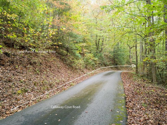0 Calloway Cove Road, Hiawassee, GA 30546