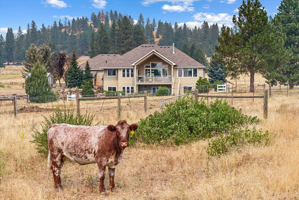 29020 N Hardesty Rd, Chattaroy, WA 99003 photo 4