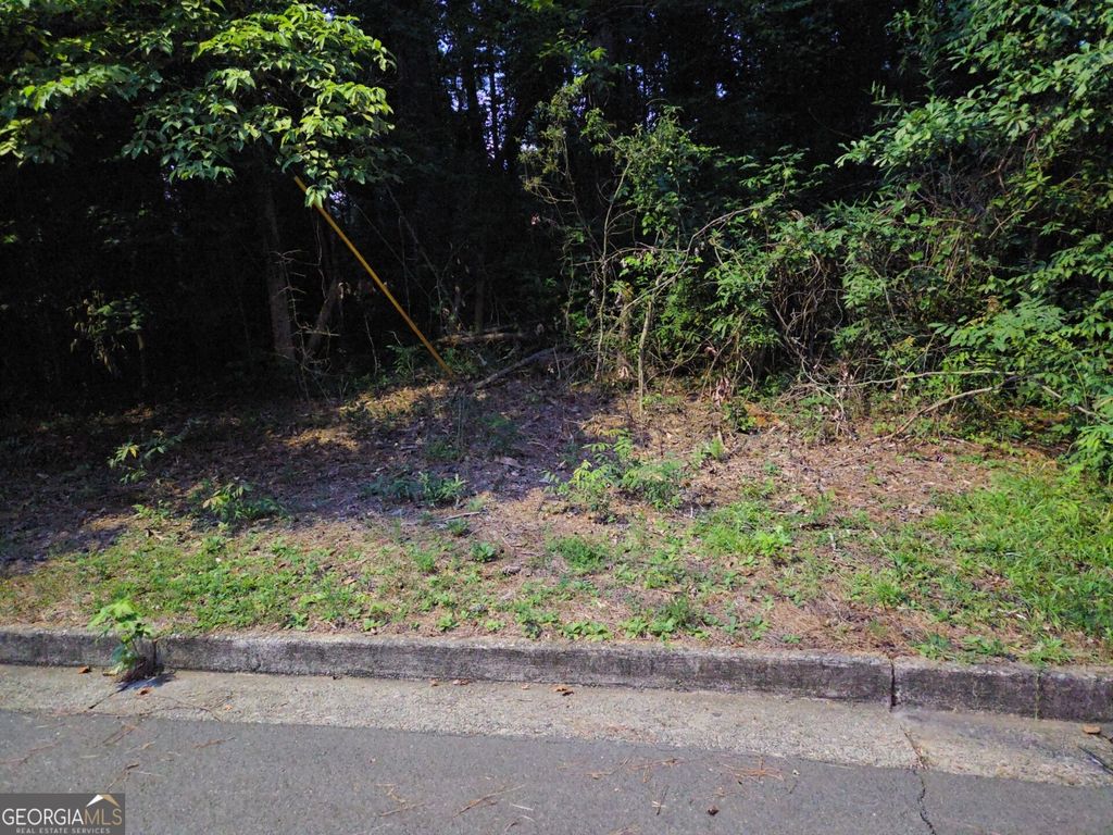 0 Lake Esther Drive, Fairburn, GA 30213