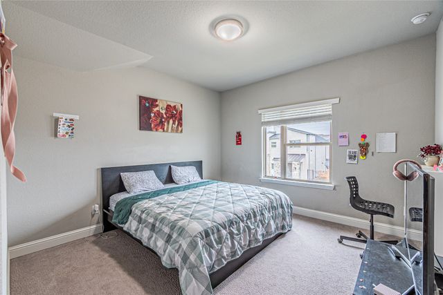 13261 Jonata Street, Frisco, TX 75035