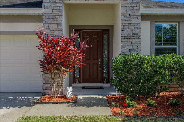 6414 DOE PATH COURT, Wesley Chapel, FL 33545