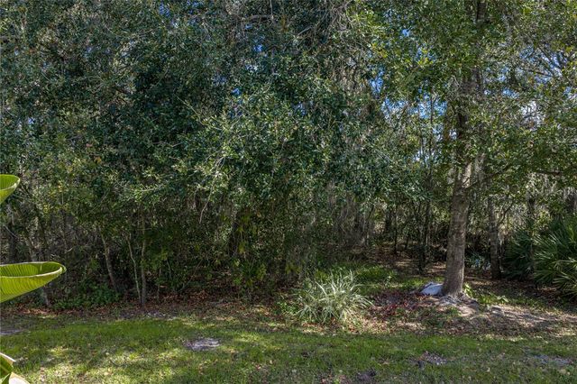 6414 DOE PATH COURT, Wesley Chapel, FL 33545