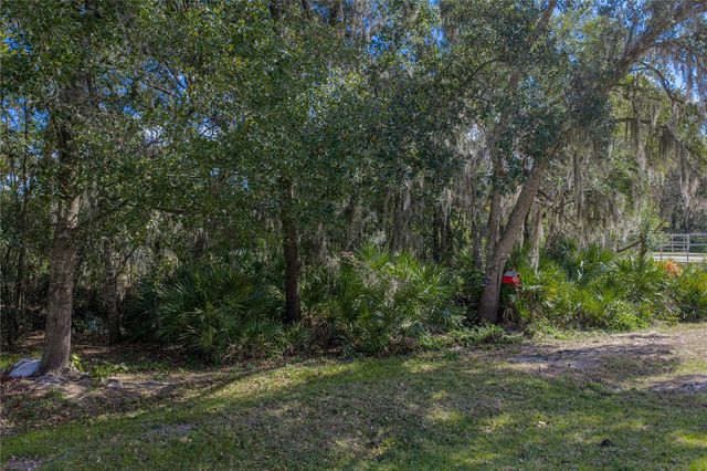 6414 DOE PATH COURT, Wesley Chapel, FL 33545