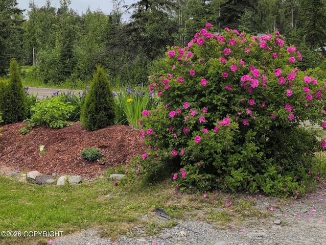 41955 Salamatof Drive, Soldotna, AK 99669