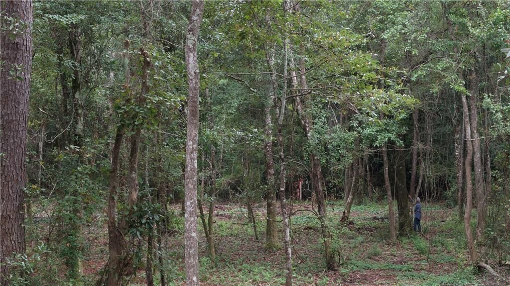 12220 Bay Street, Fairhope, AL 36532 — photo 2