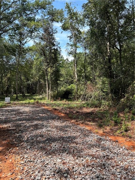 12220 Bay Street, Fairhope, AL 36532 — photo 3