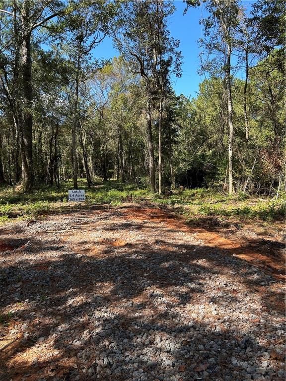 12220 Bay Street, Fairhope, AL 36532 — photo 4