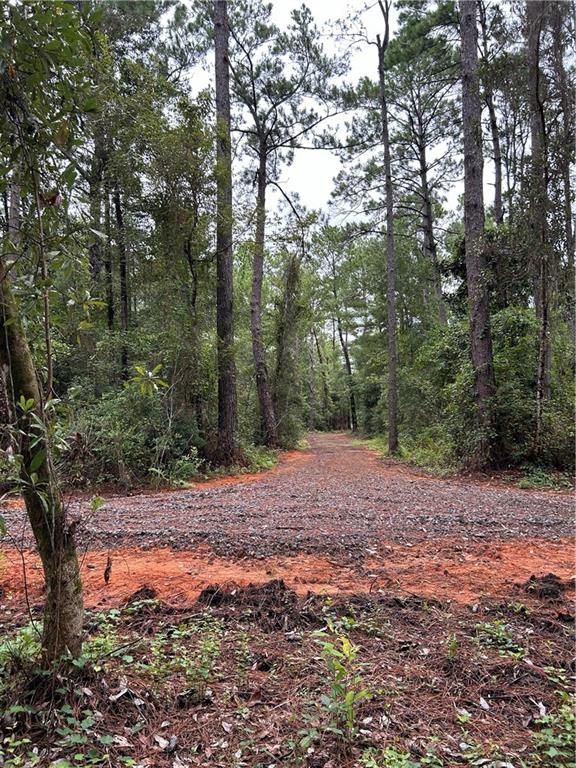 12220 Bay Street, Fairhope, AL 36532 — photo 5