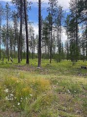 151XX E Oregon Rd, Elk, WA 99009