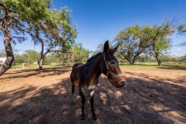 175 Quail Creek Dr., Lytle, TX 78052