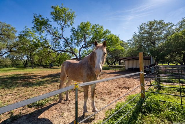 175 Quail Creek Dr., Lytle, TX 78052