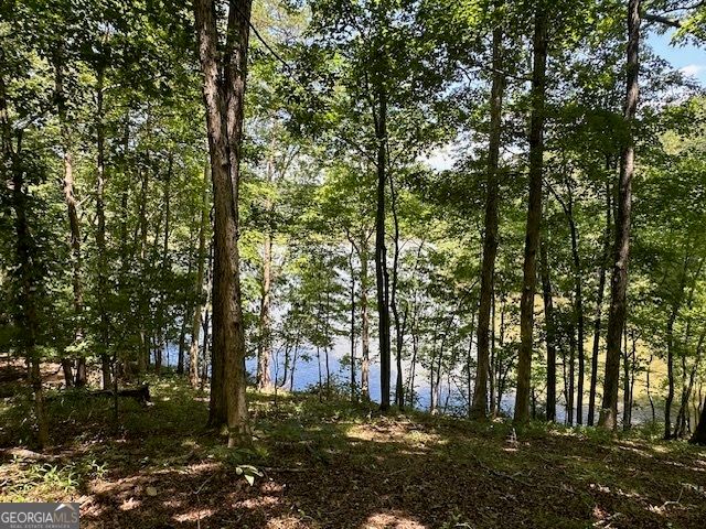 6592 Huckleberry Lane, Lula, GA 30554