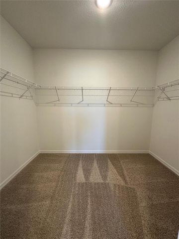 13242 SASSAFRAS TRIAL, Parrish, FL 34219