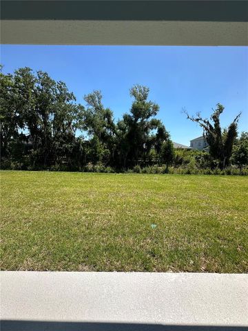 13242 SASSAFRAS TRIAL, Parrish, FL 34219