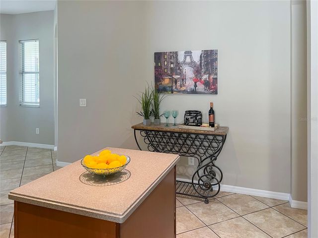 11531 VICOLO LOOP, Windermere, FL 34786