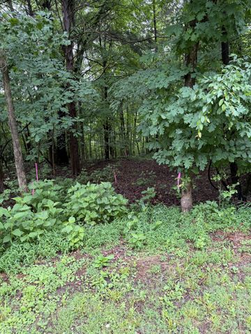 0 Elklore Avenue, Estill Springs, TN 37330