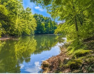 0 Elklore Avenue, Estill Springs, TN 37330