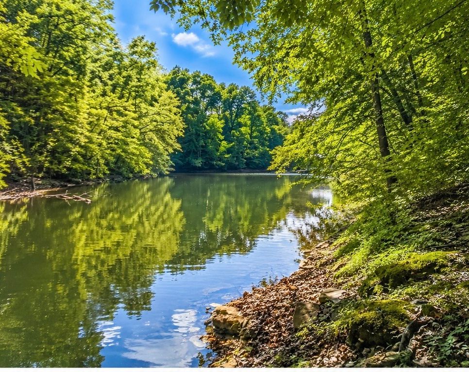 0 Elklore Avenue, Estill Springs, TN 37330