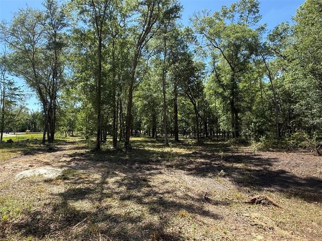 0 NW 145 AVENUE, Williston, FL 32696