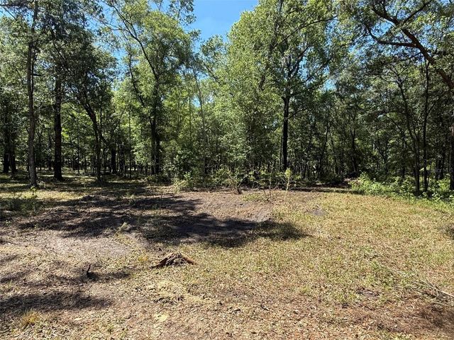0 NW 145 AVENUE, Williston, FL 32696