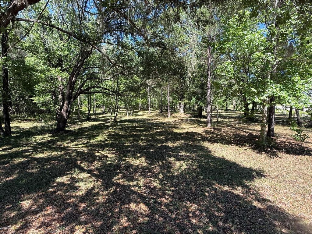 0 NW 145 AVENUE, Williston, FL 32696