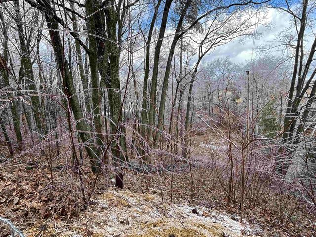 3265 Bischoff Road, Harrison, MI 48625